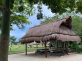 La palapa de los cumpleaños