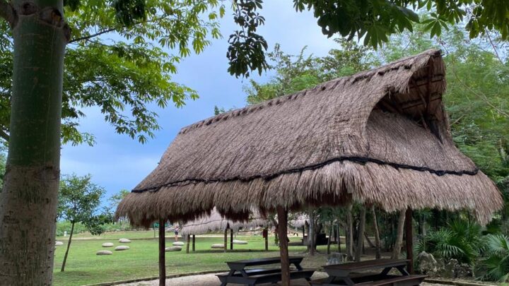 La palapa de los cumpleaños