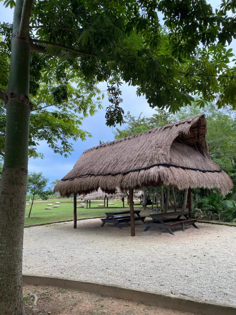 La palapa de los cumpleaños